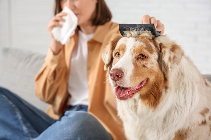 Miláčikovo - česanie psika